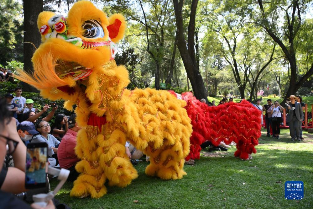 天狮大中华